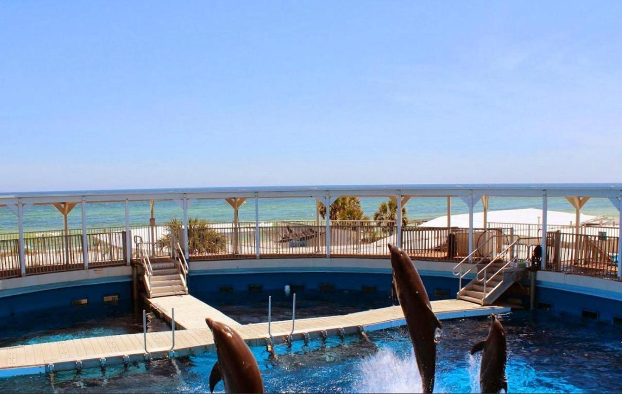 Heron 507- A Wave From It All Fort Walton Beach Luaran gambar
